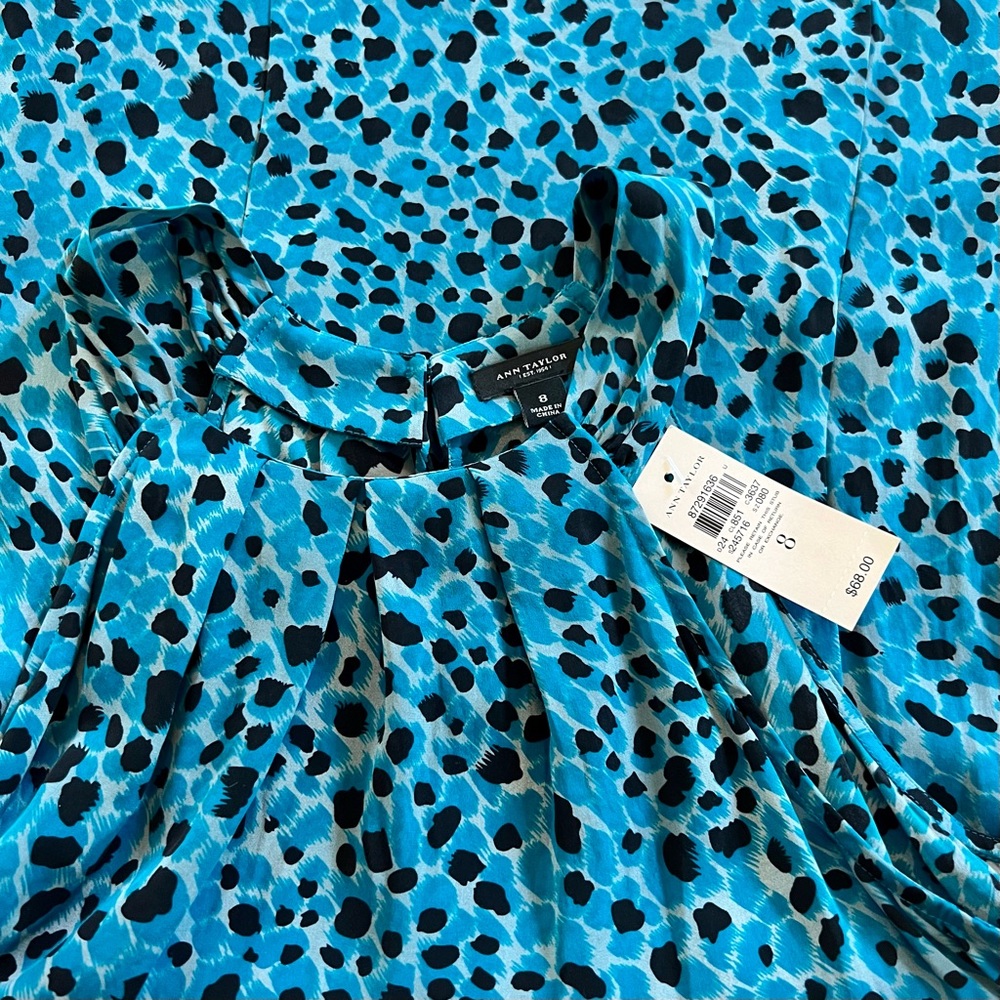Ann Taylor Sleeveless Blouse